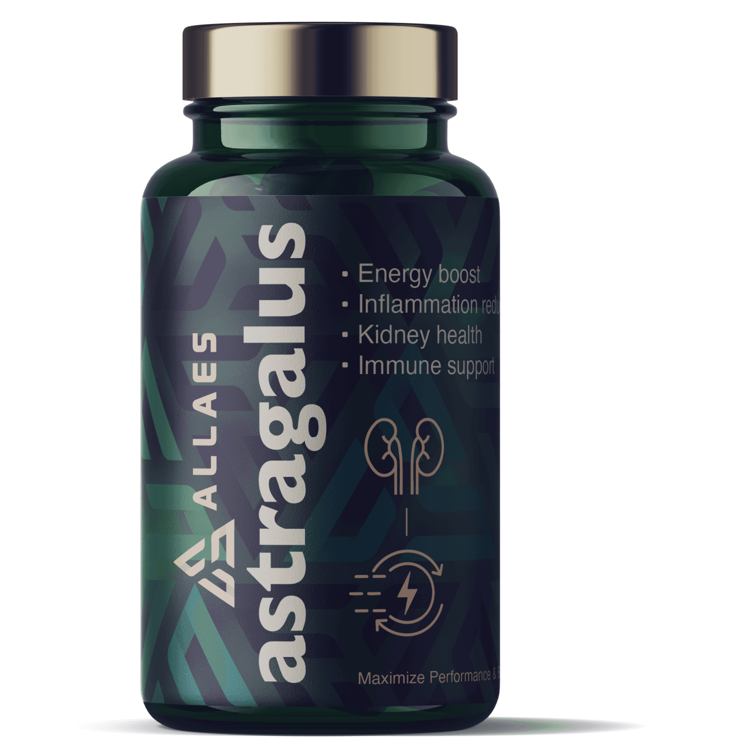 Allaes Astragalus